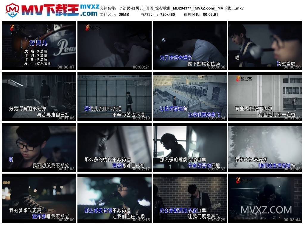 李浩民-好男儿_国语_流行歌曲_MB204377